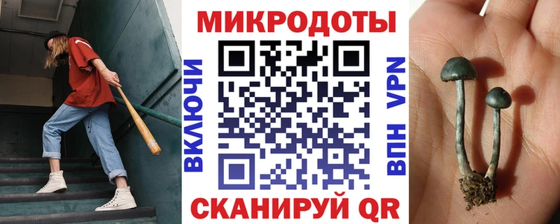 Галлюциногенные грибы мухоморы наркотики Плёс